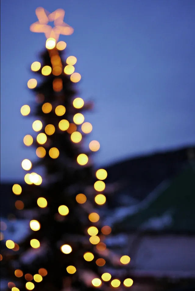 Bild mit Weihnachtsbaum