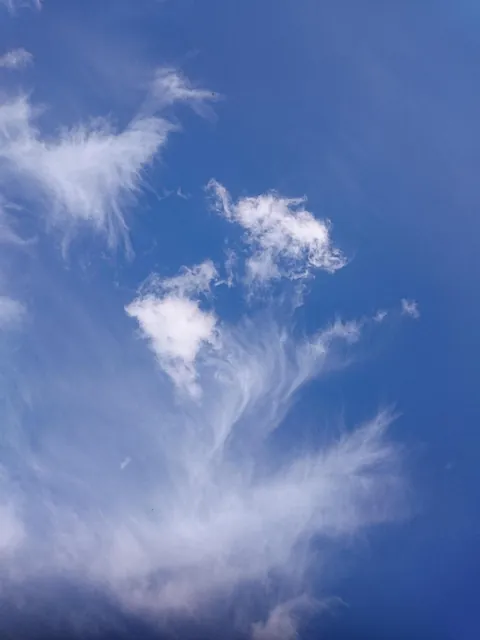 Wolkenschleier vorm blauen Himmel